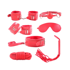 BDSM SEX KIT Bracelet+Whip+Goggles+Feather+Mouth Ball Gag